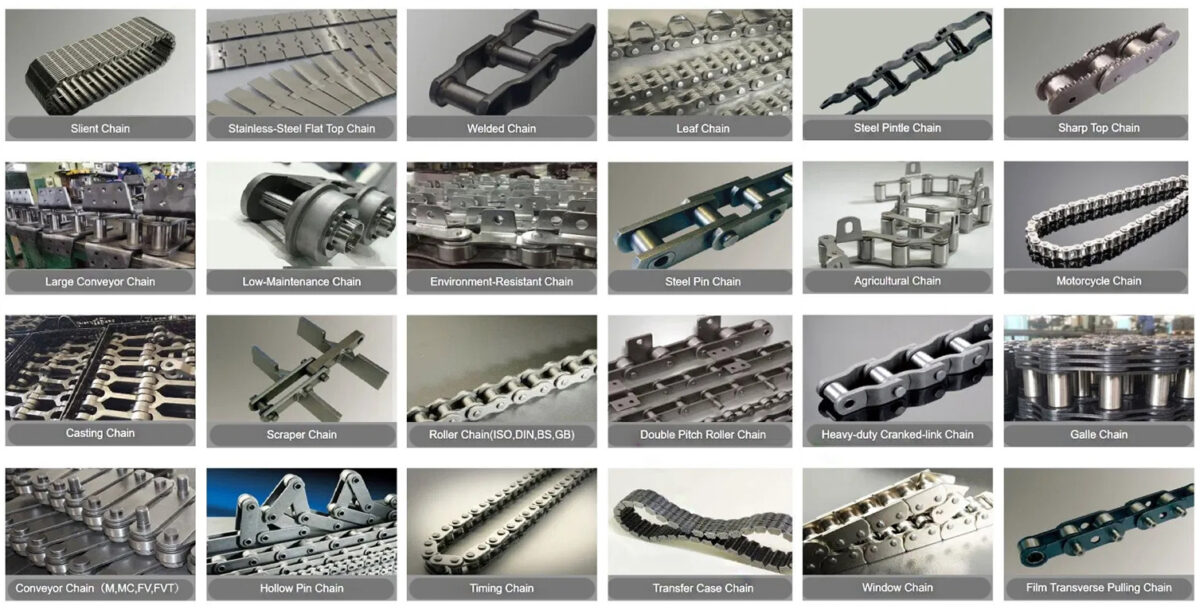 chain types cat